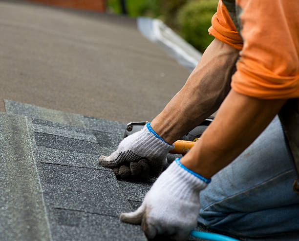 Best New Roof Installation  in Colonial Heights, VA